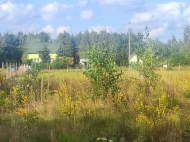 Działka budowlana Mieszkowo