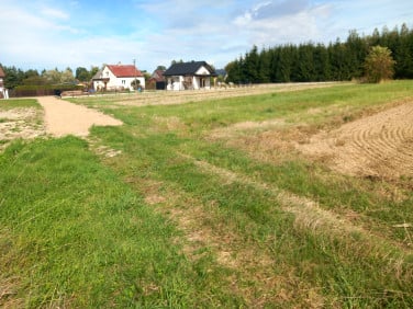 Działka przy lesie