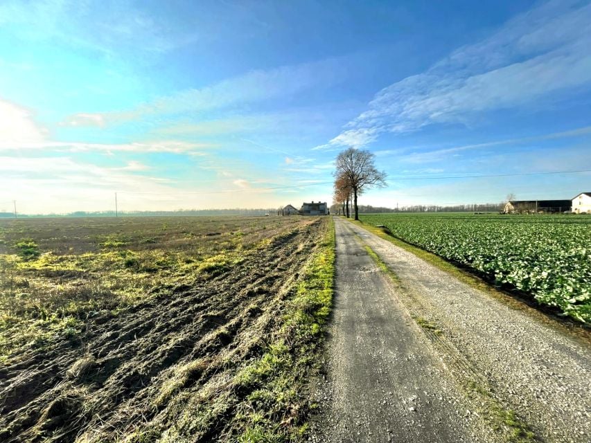 Działka Sokołowo-Parcele