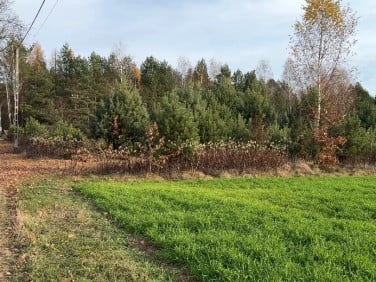 Działka budowlana Kruczy Borek