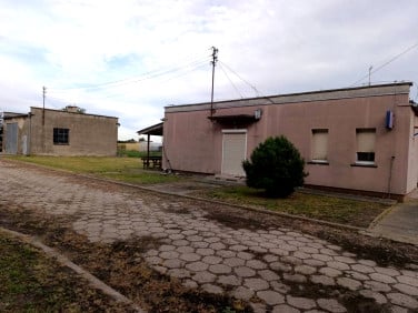 Budynek użytkowy Strzelce