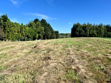 Działka budowlana Jankowice sprzedam