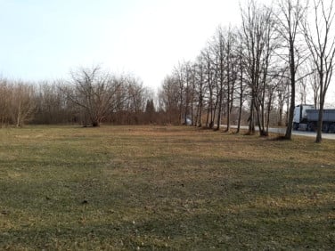 Działka budowlana Szydłowiec