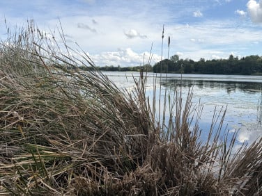 Ogrodzona działka Klusek