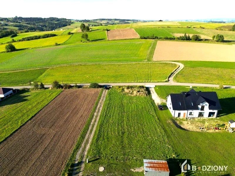 Zdjęcie 3