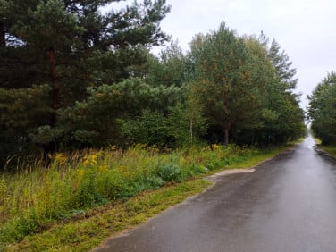 Ogrodzona działka sprzedam
