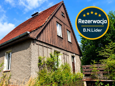 Dom wolnostojący sprzedaż
