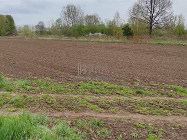 Działka rolna Bielawa