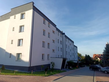 Mieszkanie Małogoszcz