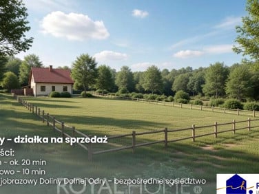Działka rolna Moczyły