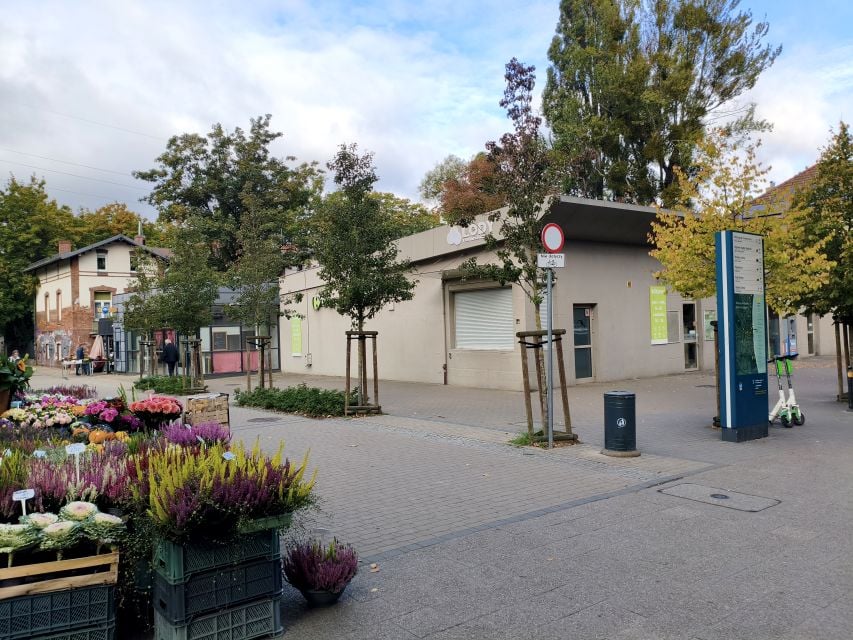 Lokal Sopot wynajem