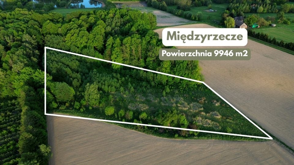 Działka rolna Międzyrzecze Górne