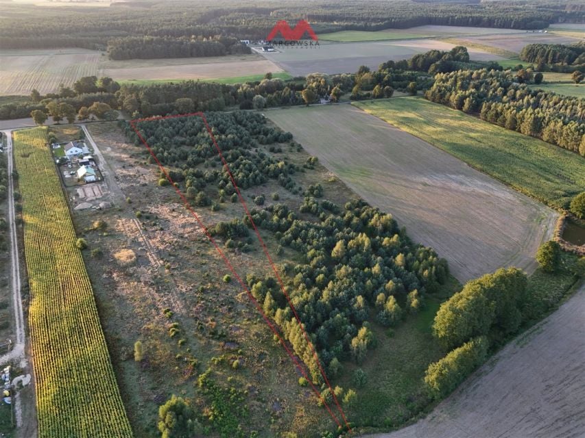 Działka Żeleźnica