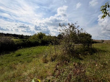 Działka siedliskowa Drzycim