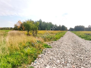 Działka budowlana Brzóze