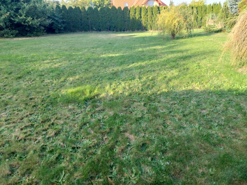 Działka budowlana Syców