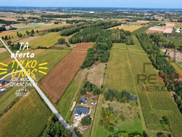 Działka Dachowa