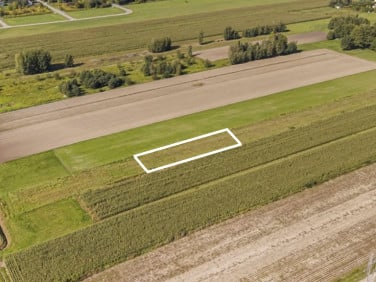 Działka Kampinos A
