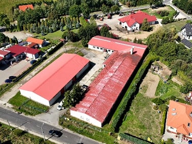 Lokal Przeworno