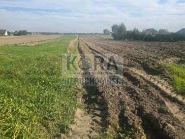 Działka budowlana Strzyżewo Kościelne