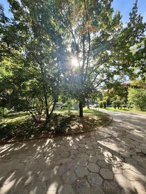 Lokal Wrocław wynajem