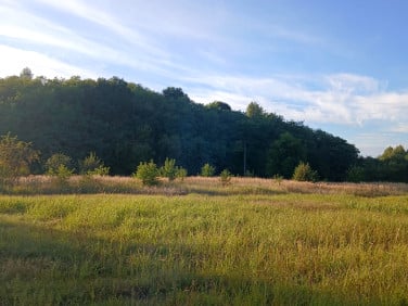 Działka budowlana Częstochowa