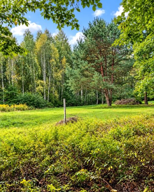 Działka inna Owczarnia