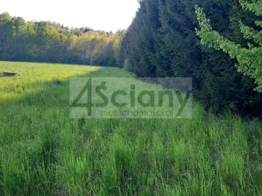 Działka Rusiec