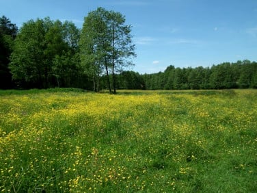 Działka budowlana Piece