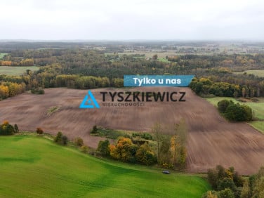 Działka przy lesie