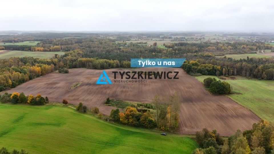 Działka przy lesie