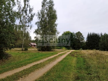 Działka Ojrzanów