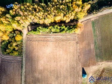 Działka siedliskowa Borzestowo sprzedam