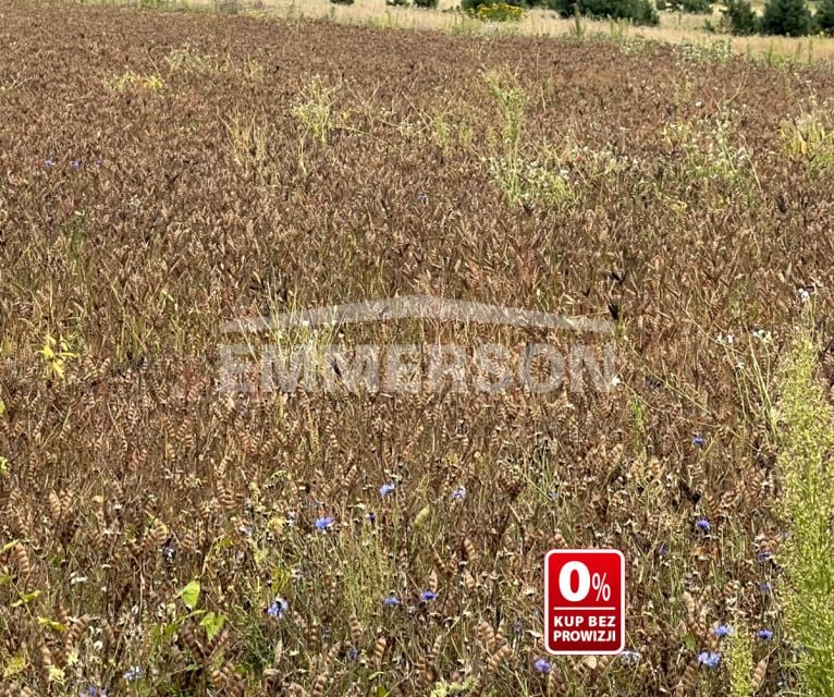 Działka przemysłowa Piaseczno