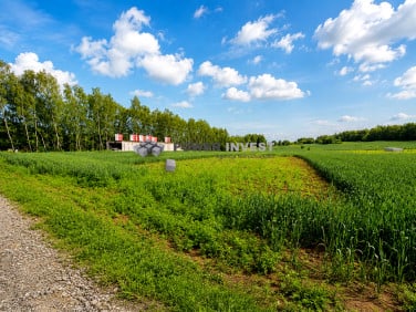 Działka budowlana Bodzanów sprzedam