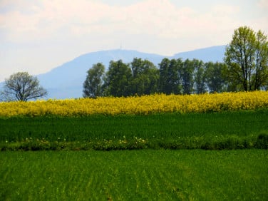 Działka budowlana Miedźna sprzedam