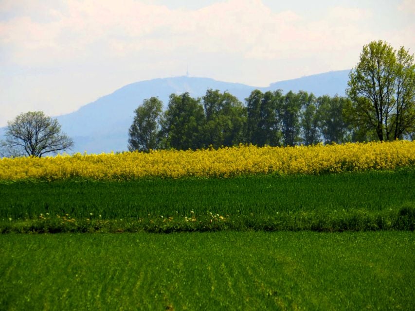 Działka budowlana Miedźna sprzedam