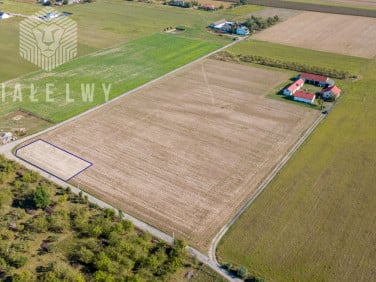 Działka inna Prażmów