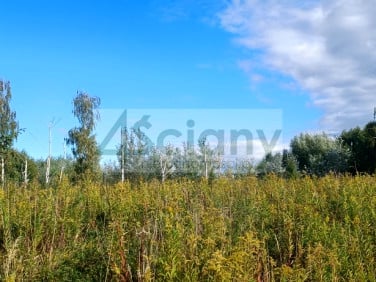 Działka budowlana Michałowice-Wieś sprzedam