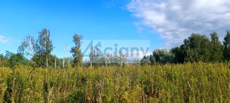 Działka budowlana Michałowice-Wieś sprzedam