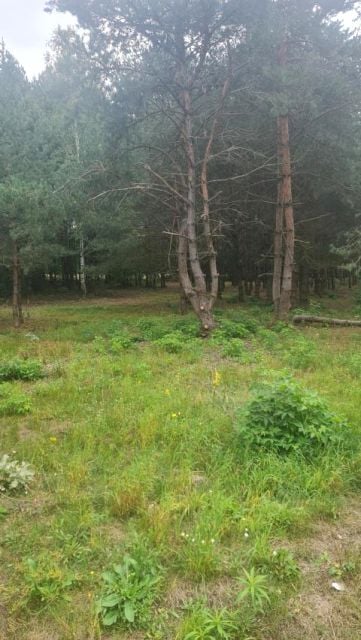 Działka budowlana Lisowola