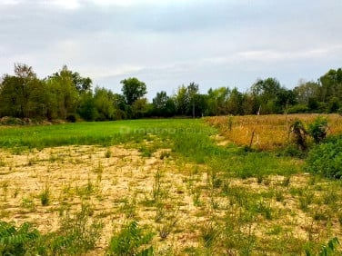 Działka siedliskowa Konstancin-Jeziorna