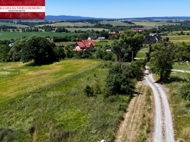 Działka Ścinawica