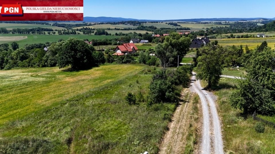 Działka Ścinawica