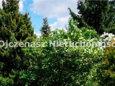 Działka rekreacyjna Koronowo