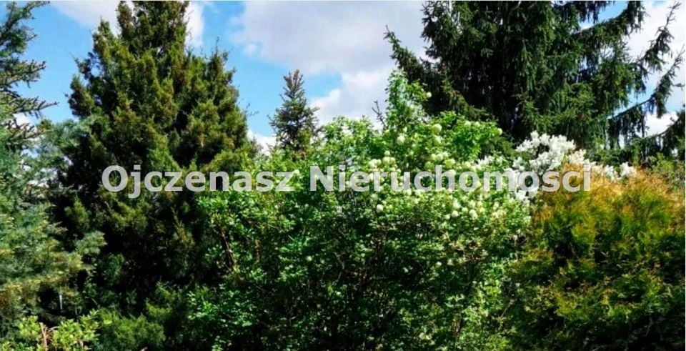 Działka rekreacyjna Koronowo