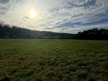 Działka rolna Krasice