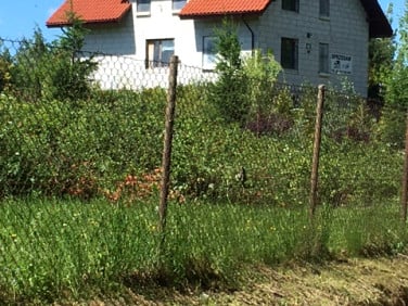 Dom Górzno