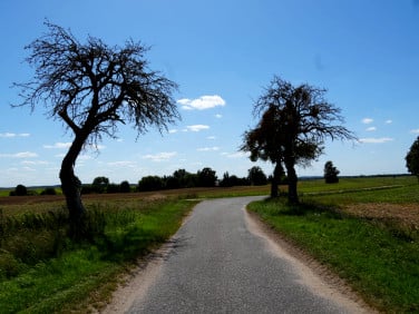 Działka Skrzany