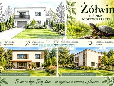 Dom Żółwin